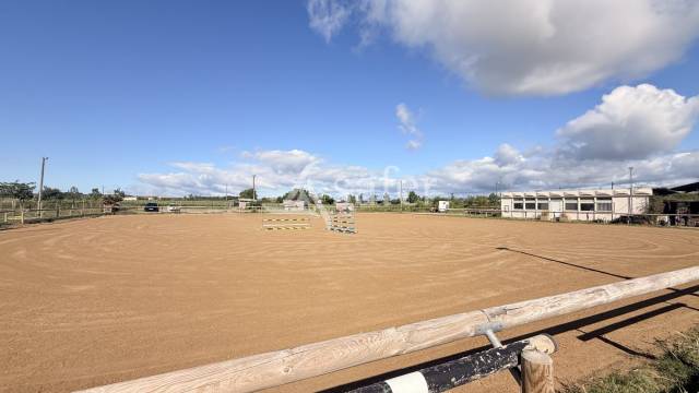 Propri&eacute;t&eacute; professionnelle de 1,5 ha entre P&eacute;zenas et Agde