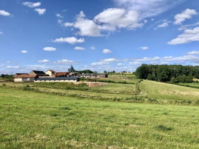 Propri&eacute;t&eacute; agricole de 21ha