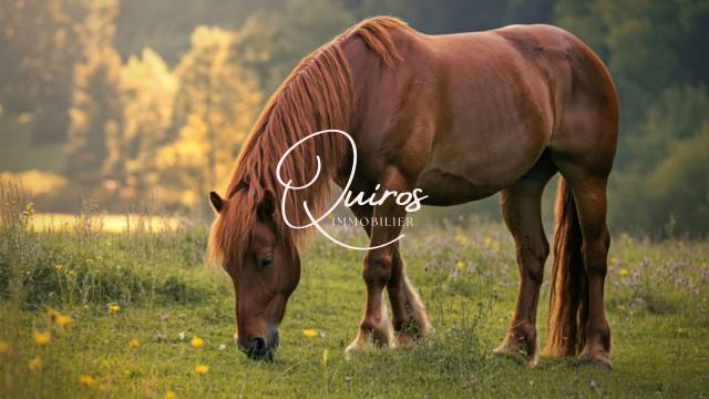 OFF MARKET - Propri&eacute;t&eacute; &eacute;questre - 3,89 Ha - Seine-Maritime