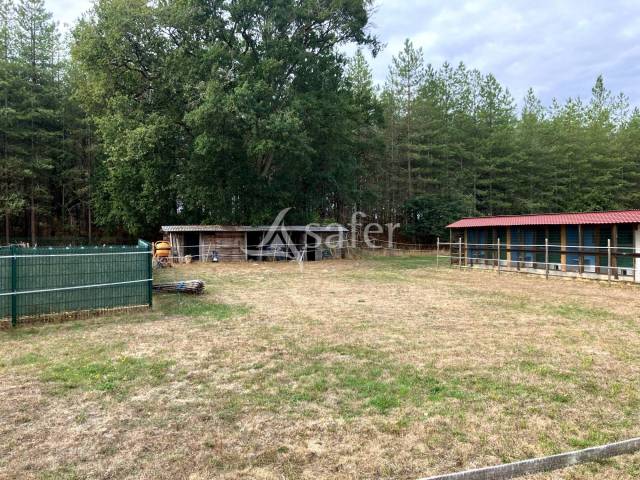 Pension canine et f&eacute;line en Sologne