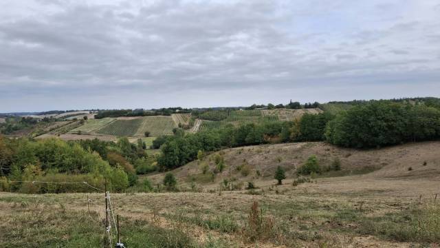 Propri&eacute;t&eacute; &agrave; vocation &eacute;questre. Carri&egrave;re + 5ha
