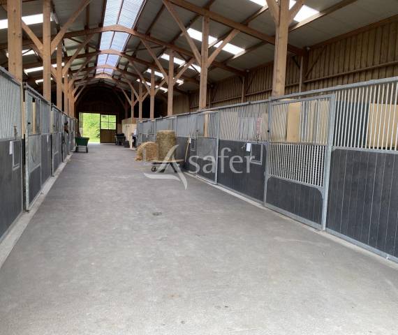 Haras d'&eacute;levage - Pays d'Auge