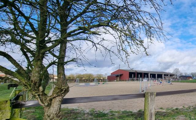 EXCLUSIVITE - PONEY CLUB - CHOLET -