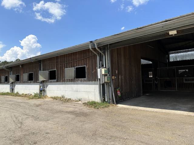 Saint-Aubin-De-Médoc, écurie sur plus de 1 hectare