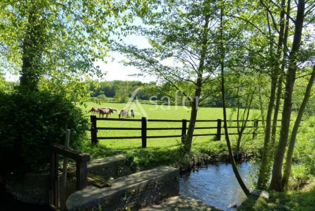 Structure Equestre 17ha