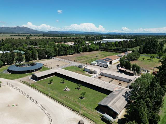 Propriété Équestre d'Excellence  5 Hectares aux Portes d