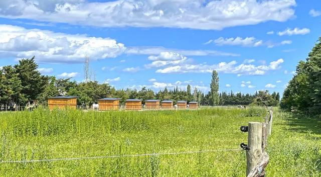 Domaine équestre - Equipements complets sur 5 hectares