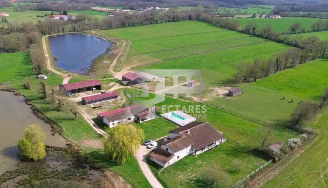 Propriété 21 hectares 2 habitations