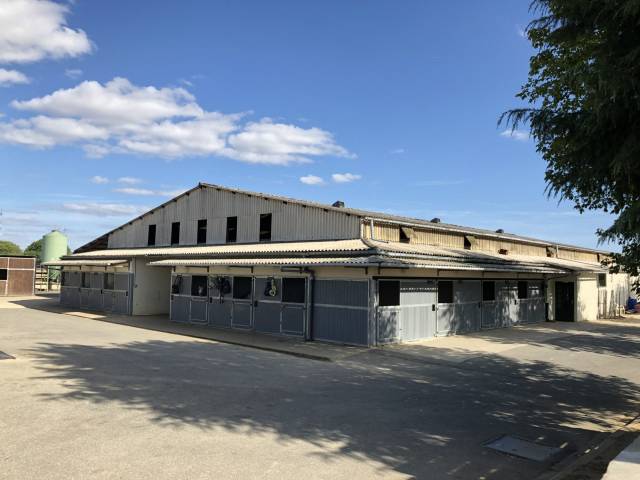Centre équestre - Ecurie de sport