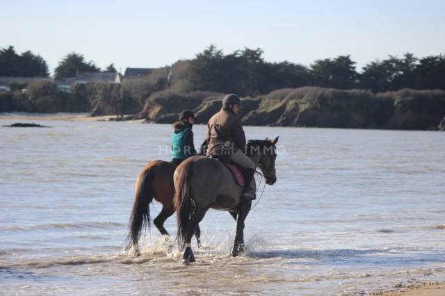 Haras, 33 hectares proche de la mer