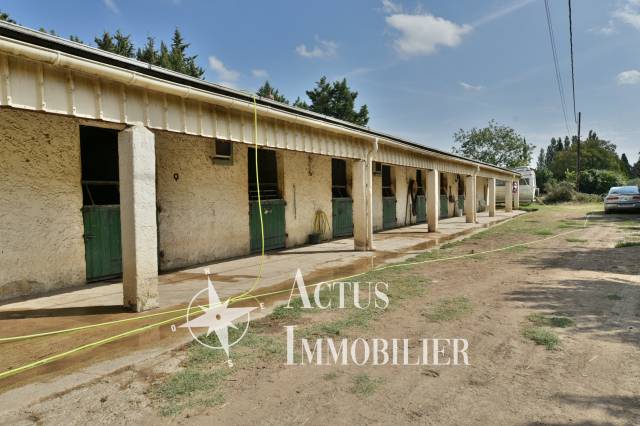 Ecuries avec son terrain de 1.4 hectares à Grans (13)