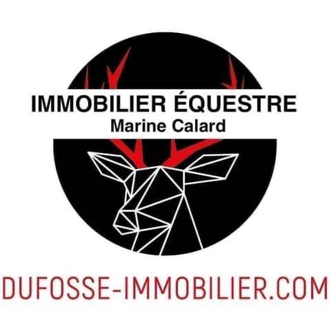 Propriété équestre de 4ha (01)