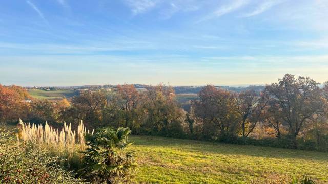 Propriété agricole de 11ha (82)