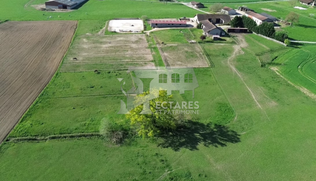 Ecurie sur 4,1 hectares