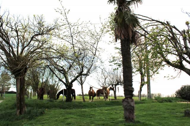 PROPRIETE DE 17 HECTARES DANS  LE TARN ET GARONNE