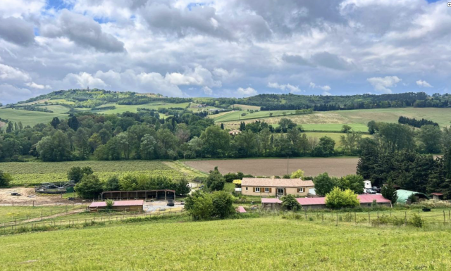 Propriété équestre de 6,3 hectares (11)