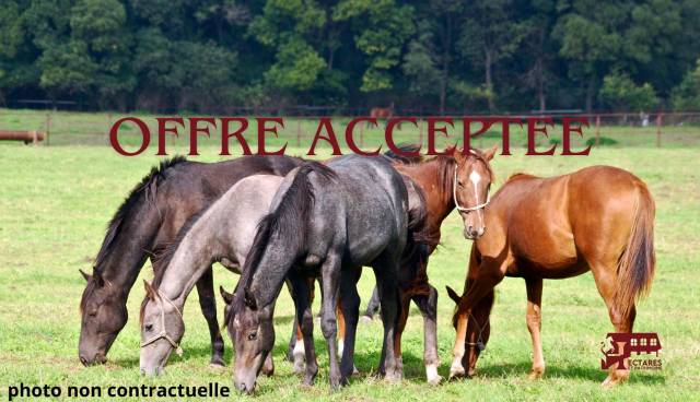 Structure &eacute;questre 13 hectares