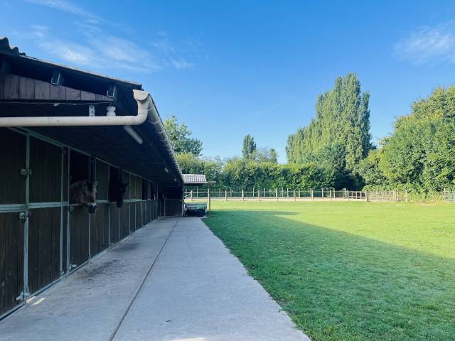 Propri&eacute;t&eacute; &eacute;questre voulangis 77580