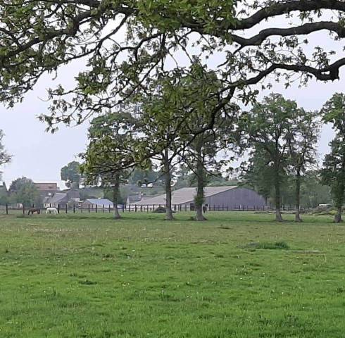 Haras 3 maisons 
