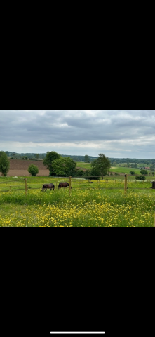 Propriété équestre à 10 minutes de Forges-les-Eaux