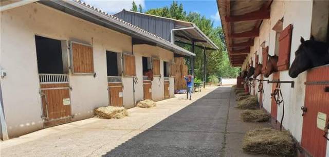 Ecurie 36 boxes Mont de marsan