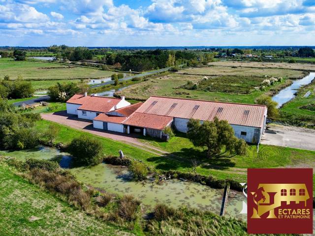 Maison Bois De Céné 6 pièce(s) 100 m2,  8 Hectares hangars et dépendances