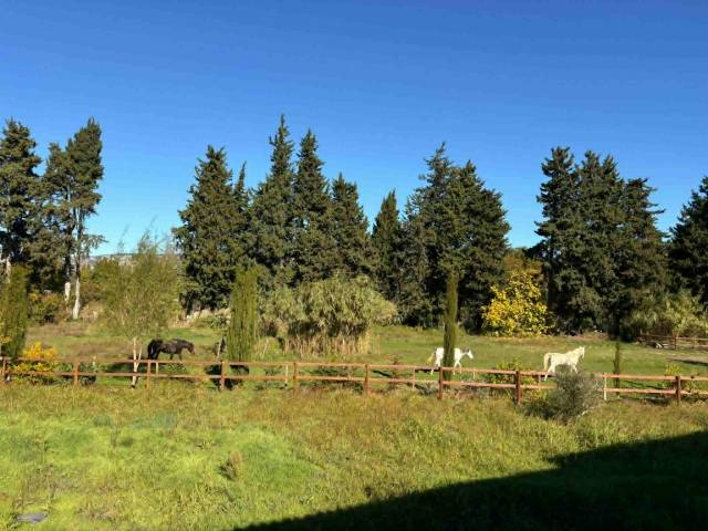 a Louer :Apt 60m2  T 3 avec 3,5 Hectares pour chevaux