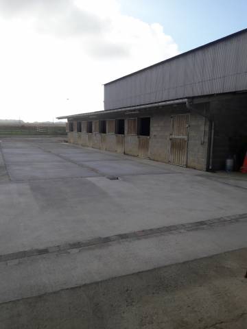 Location boxes Ecurie de concours 50km Fontainebleau.