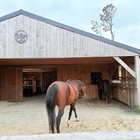 Maison et écurie sur terrain constructible