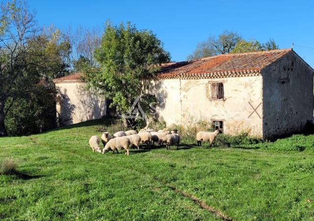Corps de ferme 18 hectares d'un seul tenant idéal projet éleva