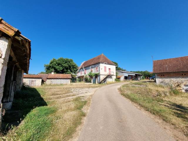 Exploitation ovine sur 220 ha Parc Naturel des Causses du Quercy