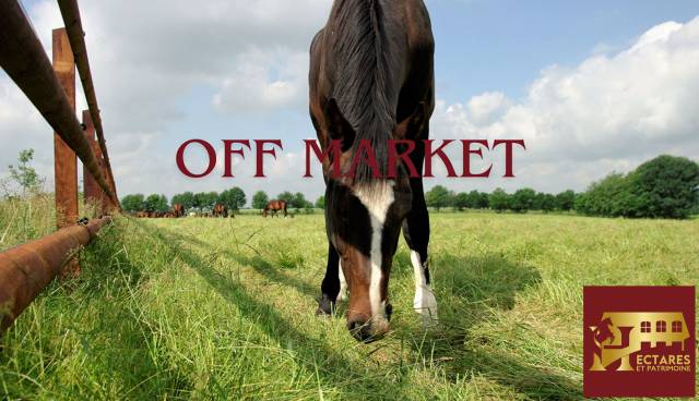 Domaine &eacute;questre + de 30 hectares