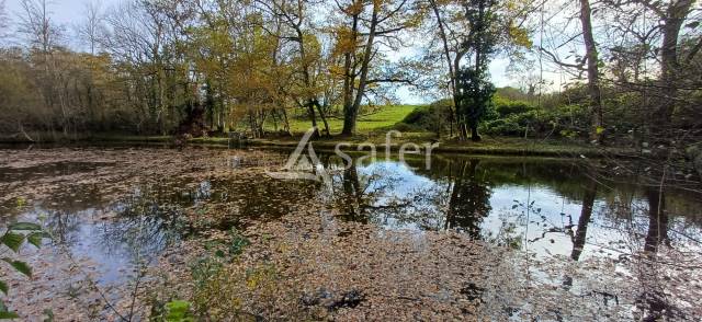 Etang, pr&eacute; et bois sur 2ha24 en P&eacute;rigord vert