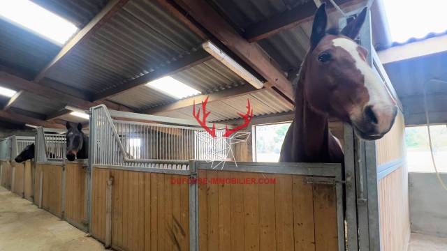 Tarn-et-Garonne Propri&eacute;t&eacute; &eacute;questre de 3,2 hectares (82)
