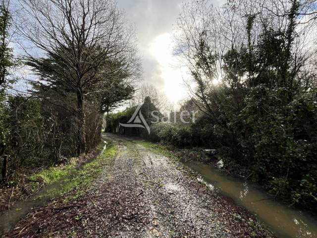 Maison en ruine avec bois et friches