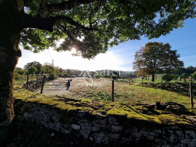 Propri&eacute;t&eacute; &eacute;questre / &eacute;levage sur 32 ha au coeur du Parc Natu