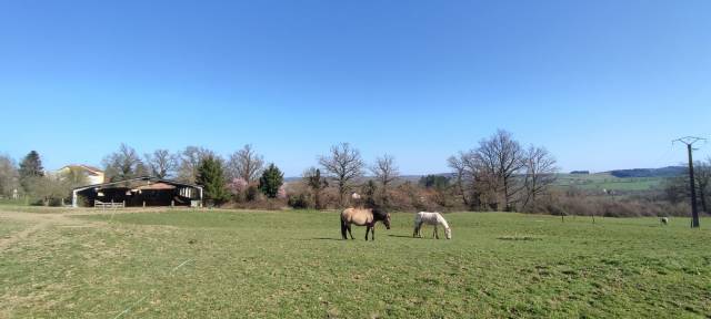 Maison &agrave; vendre Le Breuil