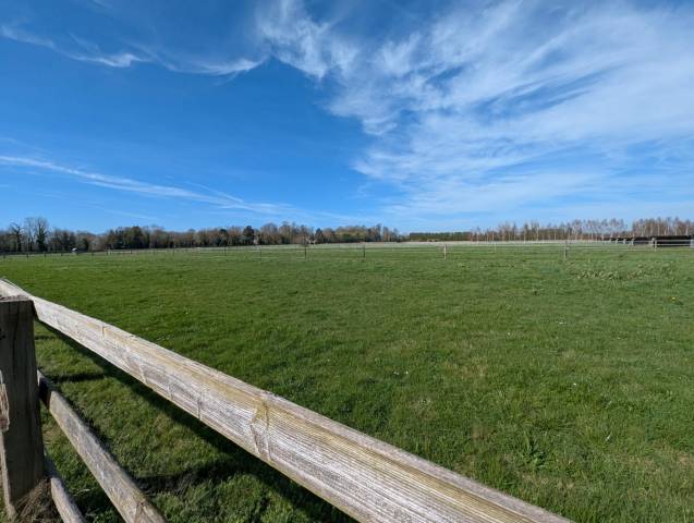 Normandie -Propri&eacute;t&eacute; &eacute;questre - Haras
