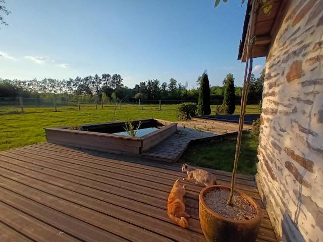 Propri&eacute;t&eacute; &eacute;questre avec g&icirc;te et infrastructures 