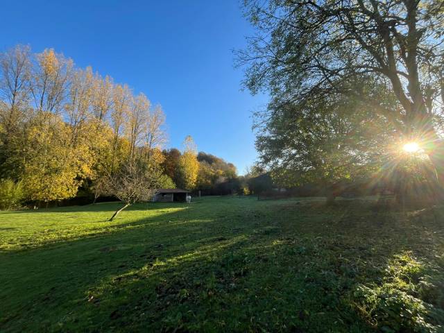 Maison avec pat&ucirc;re d un hectare