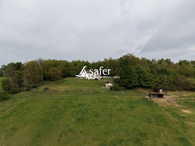 Propri&eacute;t&eacute; &agrave; vocation &eacute;questre en r&eacute;gion st&eacute;phanoise