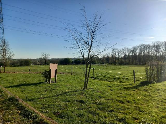 Pension pour chevaux ( 2 boxes libres). 