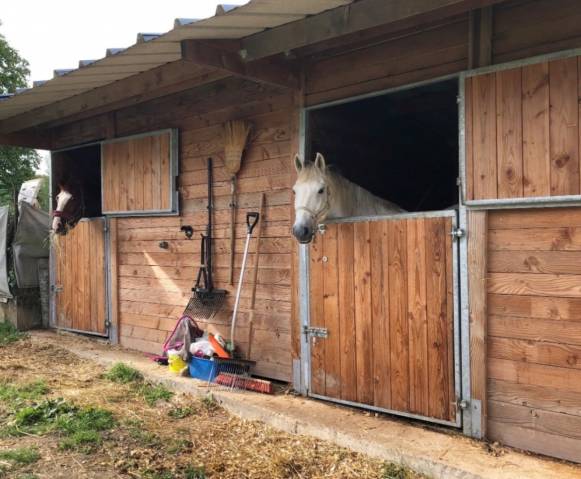 propri&eacute;t&eacute; equestre 77 nord 