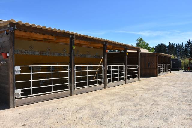 Propri&eacute;t&eacute; &eacute;questre / &eacute;curie