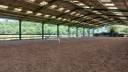 Propri&eacute;t&eacute; EQUESTRE proche Bordeaux &agrave; reprendre!