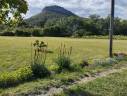Propri&eacute;t&eacute; rurale : 1,43 ha, forage, d&eacute;pendances, maison