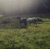 &Agrave; louer &ndash; Secteur Entre-deux-Mers / Le Pout (Gironde - 