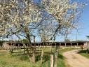 Magnifique Ranch