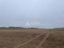 Vente terres agricoles libres