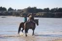 Haras haut de gamme à 5 min des plages - Un cadre unique pour
